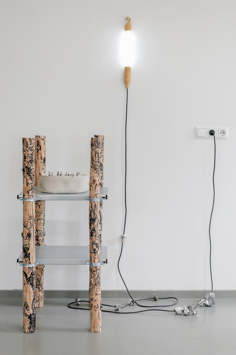 Woodworm Shelf by Lisa Ertel and Jannis Zell; Photo by Romy Finke